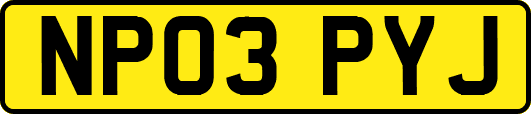 NP03PYJ