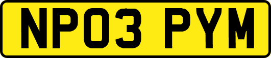 NP03PYM