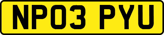 NP03PYU