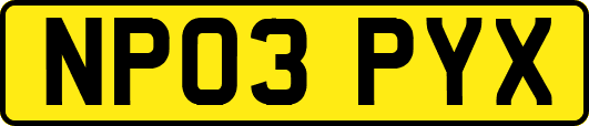 NP03PYX