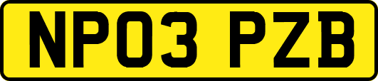 NP03PZB