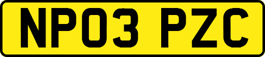 NP03PZC