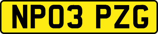 NP03PZG