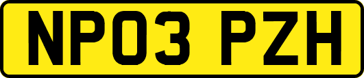 NP03PZH