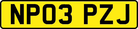 NP03PZJ