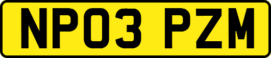 NP03PZM