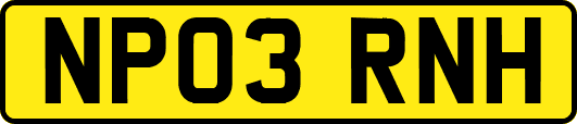NP03RNH