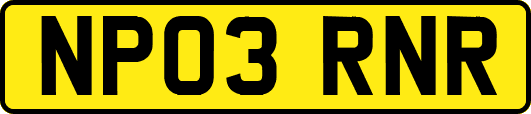 NP03RNR