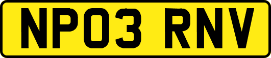 NP03RNV