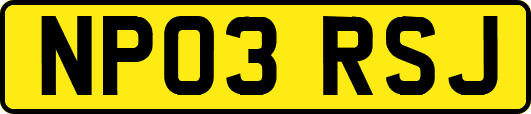 NP03RSJ