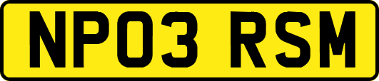 NP03RSM