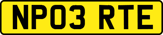 NP03RTE