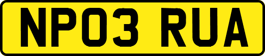 NP03RUA