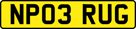 NP03RUG