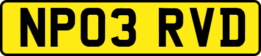 NP03RVD