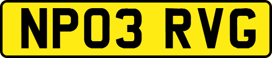 NP03RVG