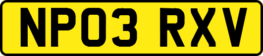 NP03RXV