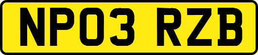 NP03RZB