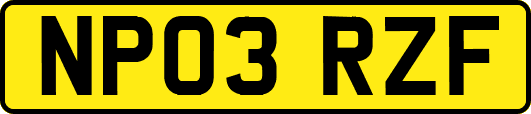 NP03RZF