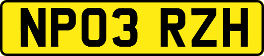 NP03RZH