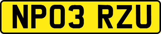 NP03RZU