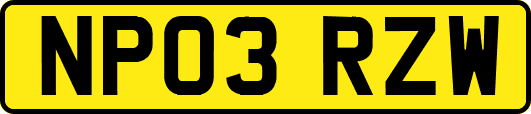 NP03RZW