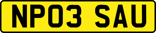 NP03SAU