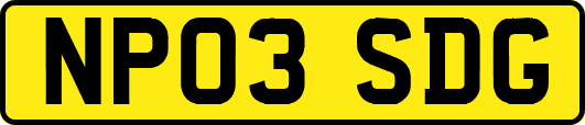 NP03SDG