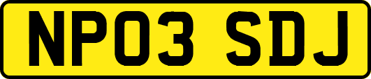 NP03SDJ