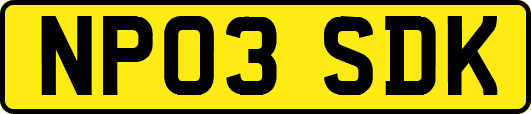 NP03SDK
