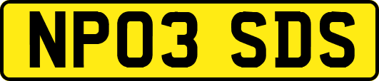NP03SDS