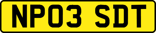NP03SDT