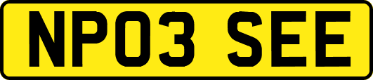 NP03SEE
