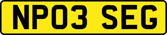 NP03SEG