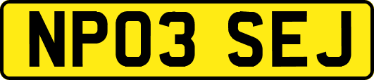 NP03SEJ