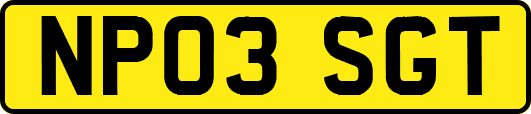 NP03SGT