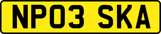 NP03SKA