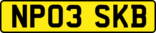 NP03SKB