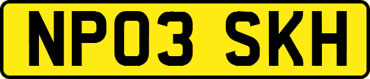NP03SKH