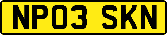 NP03SKN