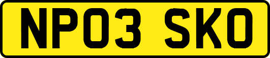 NP03SKO