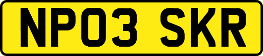 NP03SKR