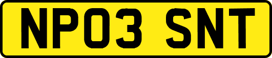 NP03SNT