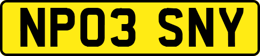 NP03SNY