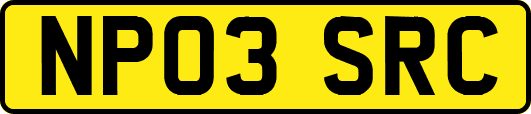 NP03SRC
