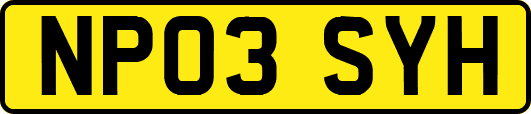 NP03SYH
