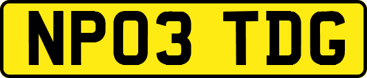 NP03TDG