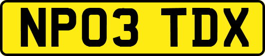 NP03TDX