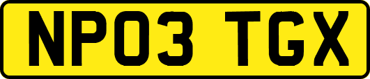 NP03TGX