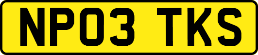NP03TKS